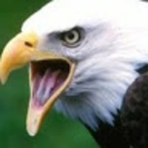 Meet your Posher, Wayne